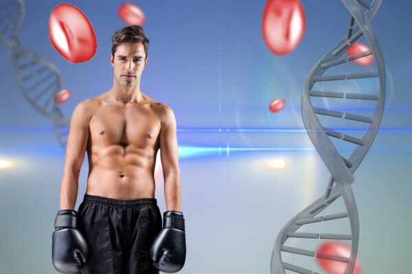 Rolul hormonilor în creșterea musculară: testosteron și IGF-1
