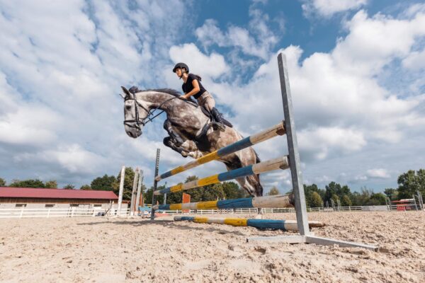 Jumping avansat: tehnici pentru parcursuri complexe și înalte