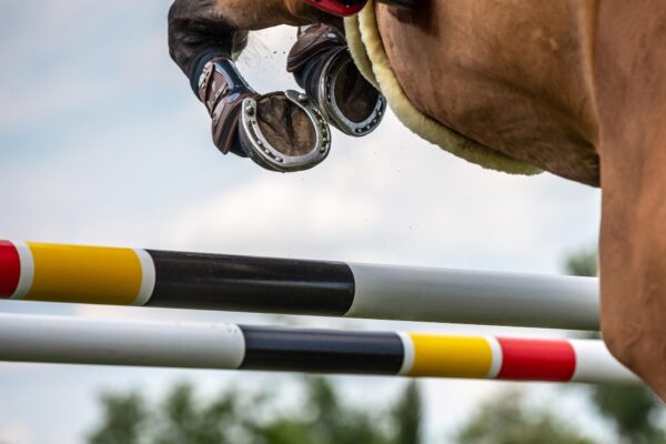 Voltija: cum se îmbină gimnastica și lucrul cu calul